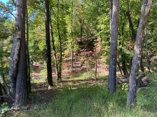 Beautifully wooded. Private peaceful and serene. Surrounded by Gamelands. No building area.