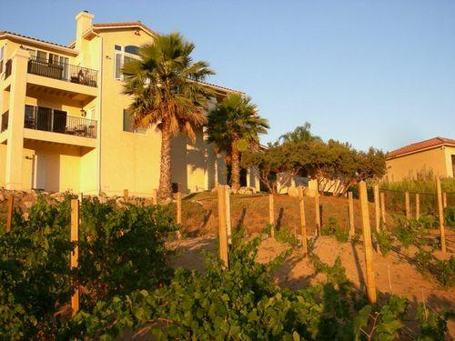 3 Levels and rentable en suite underneath