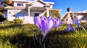 Why Staging a Home Starts Outside at the Curb