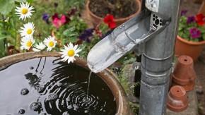 Green Home Improvements Take Root with the Right Buyer