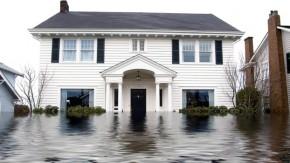 What Lurks Below: What Home Inspectors Often Miss