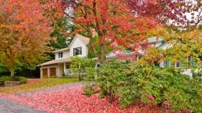 Advertise and Show Your Home in any Season