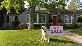 What Every Seller Needs to Know About Holding an Open House